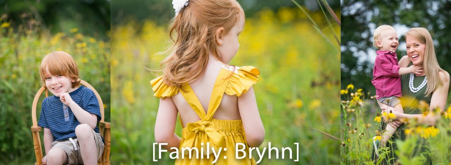 Bryhn Cover Updated-1
